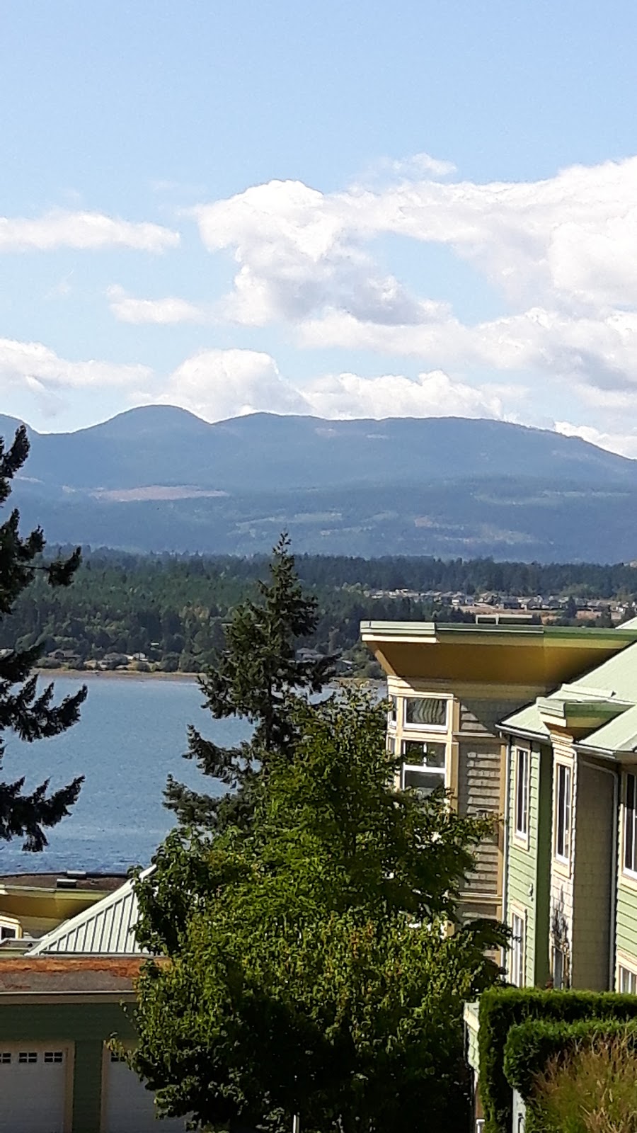 Pioneer Memorial Park | 152 Manor Dr, Comox, BC V9M 1C7, Canada | Phone: (250) 339-2202