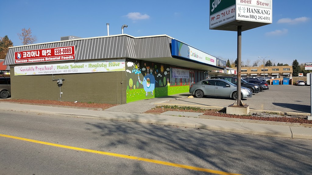 Cantabile Preschool&music School | 3616 52 Ave NW #12, Calgary, AB T2L 1V9, Canada | Phone: (403) 397-5353