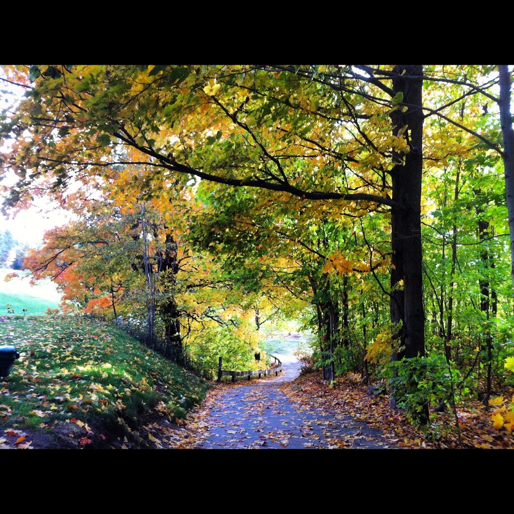 Renfrew Golf Club | 1108 Golf Course Rd, Renfrew, ON K7V 3Z6, Canada | Phone: (613) 432-2485