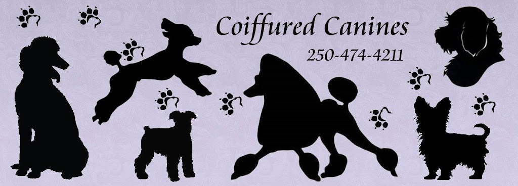 Coiffured Canines | 1005 Linda Ln, Victoria, BC V9B 2S7, Canada | Phone: (250) 474-4211