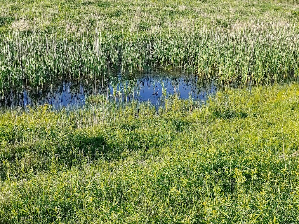 Pollinator Park | Pollinators Park, Eastview Rd, Guelph, ON N1E 6X2, Canada