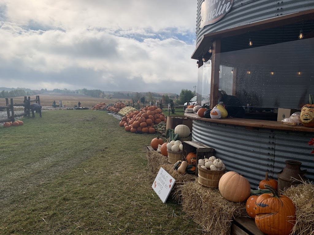 Ferme de Citrouilles Roberge et Gosselin | 1736 Chem. Royal, Saint-Pierre, QC G0A 4E0, Canada | Phone: (418) 952-2744