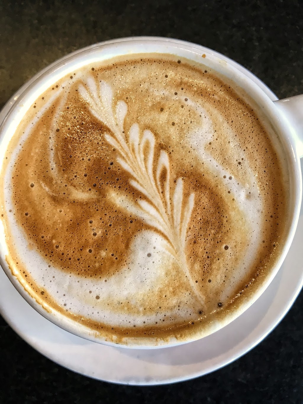 Propeller Coffee Co. | 50 Wade Ave, Toronto, ON M6H 2Z3, Canada | Phone: (416) 479-3771