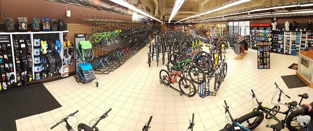 Mud, Sweat and Gears | 15007 Stony Plain Rd, Edmonton, AB T5P 4W1, Canada | Phone: (780) 483-2188