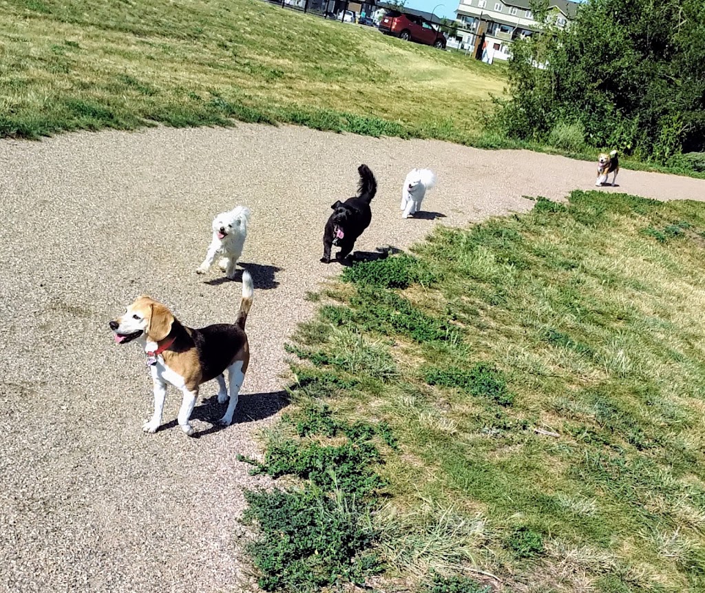 Furbaby Pet Care | 2902 Jasper Ave S, Saskatoon, SK S7J 4L7, Canada | Phone: (306) 912-7783