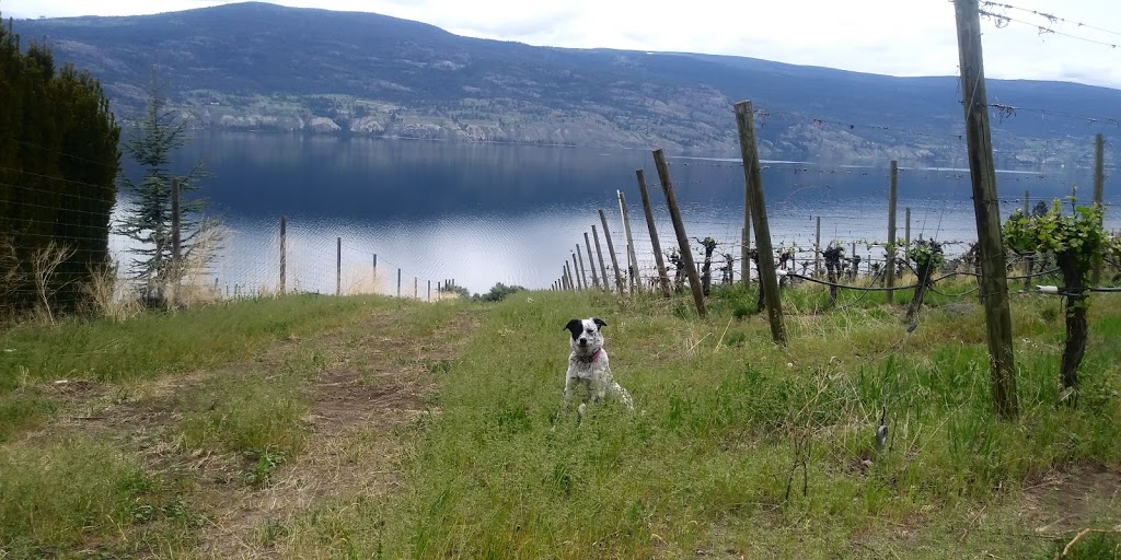 Windmill B&B | 21606 Bridgeman Rd, Summerland, BC V0H 1Z6, Canada | Phone: (204) 494-9323