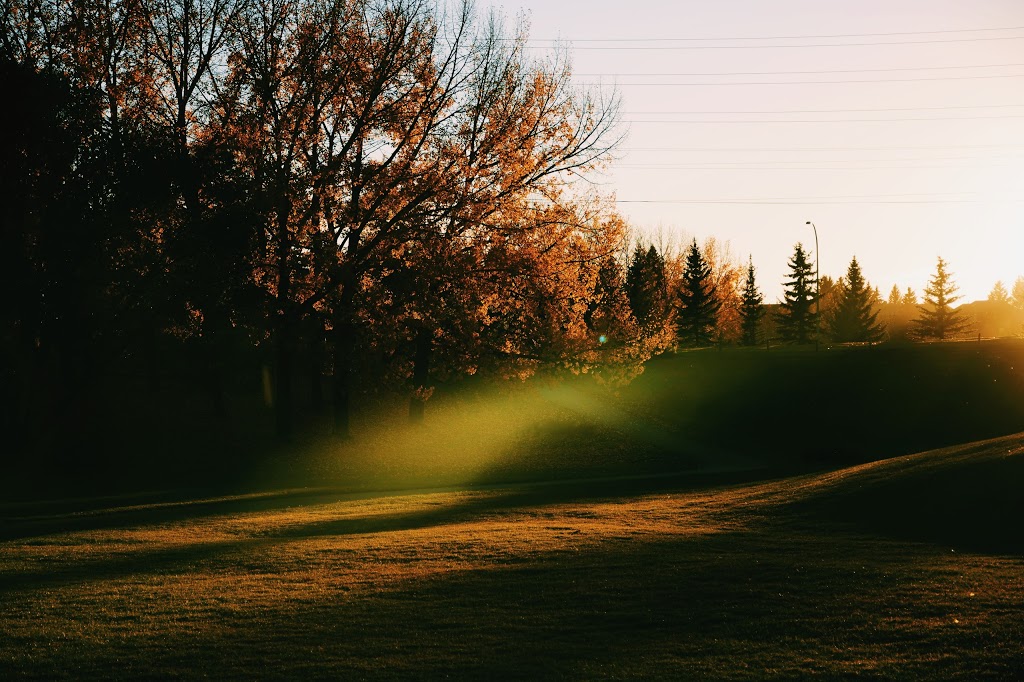 Varsity Ravine Park | 39 Varsity Ridge Terrace NW, Calgary, AB T3A 4Y2, Canada