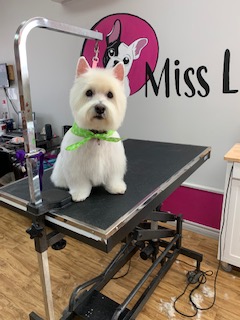 Salon Miss Lady | 1930 Rue de lInterlude, Québec, QC G3K 0R6, Canada | Phone: (418) 843-4721