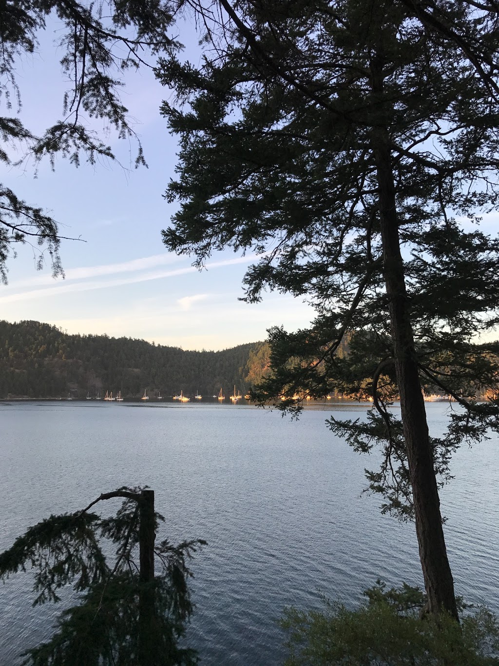 Bedwell Harbour Water Aerodrome | 9801 Spalding Rd, Pender Island, BC V0N 2M3, Canada