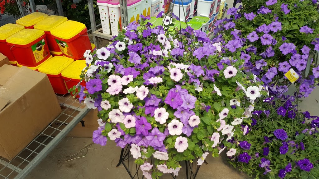 BMR Greenhouses & Water gardens | 24176 Township Road 500, Leduc County, AB T4X 0R1, Canada | Phone: (780) 986-0787