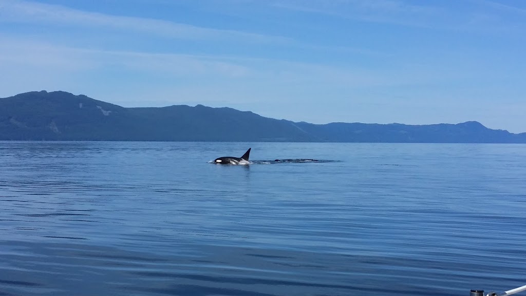 Secret Cove Sail Tours | 5471 Secret Cove Rd #28, Halfmoon Bay, BC V0N 1Y2, Canada | Phone: (604) 219-0837