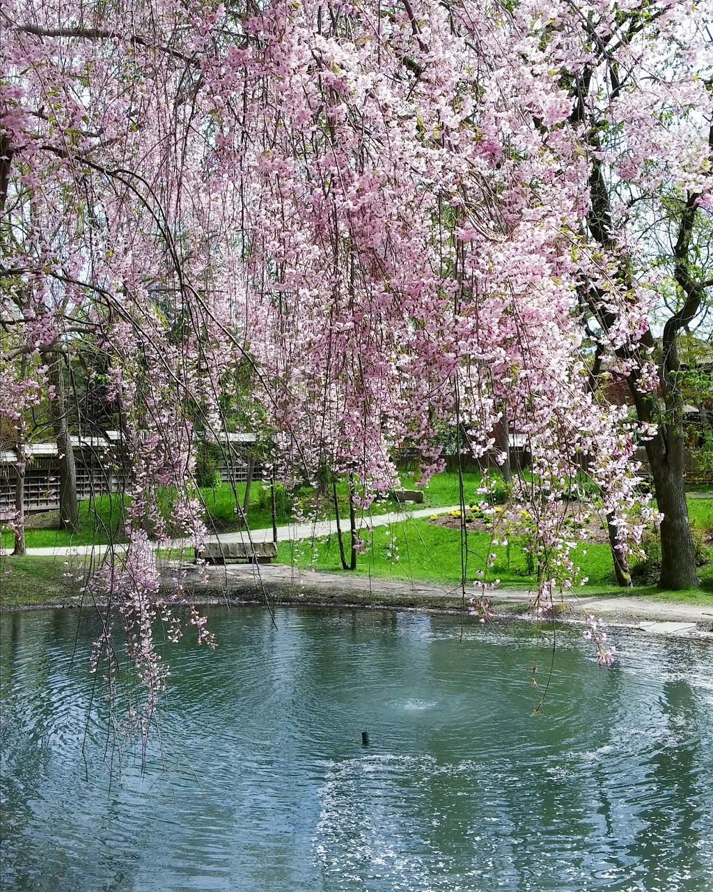 Kariya Park | 3620 Kariya Dr, Mississauga, ON L5B 3J2, Canada | Phone: (905) 615-4100