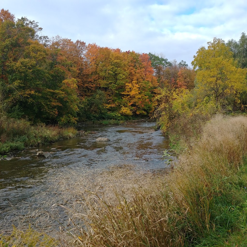 Etobicoke Creek Trail | 2120 Rathburn Rd E, Mississauga, ON L4W 2S8, Canada