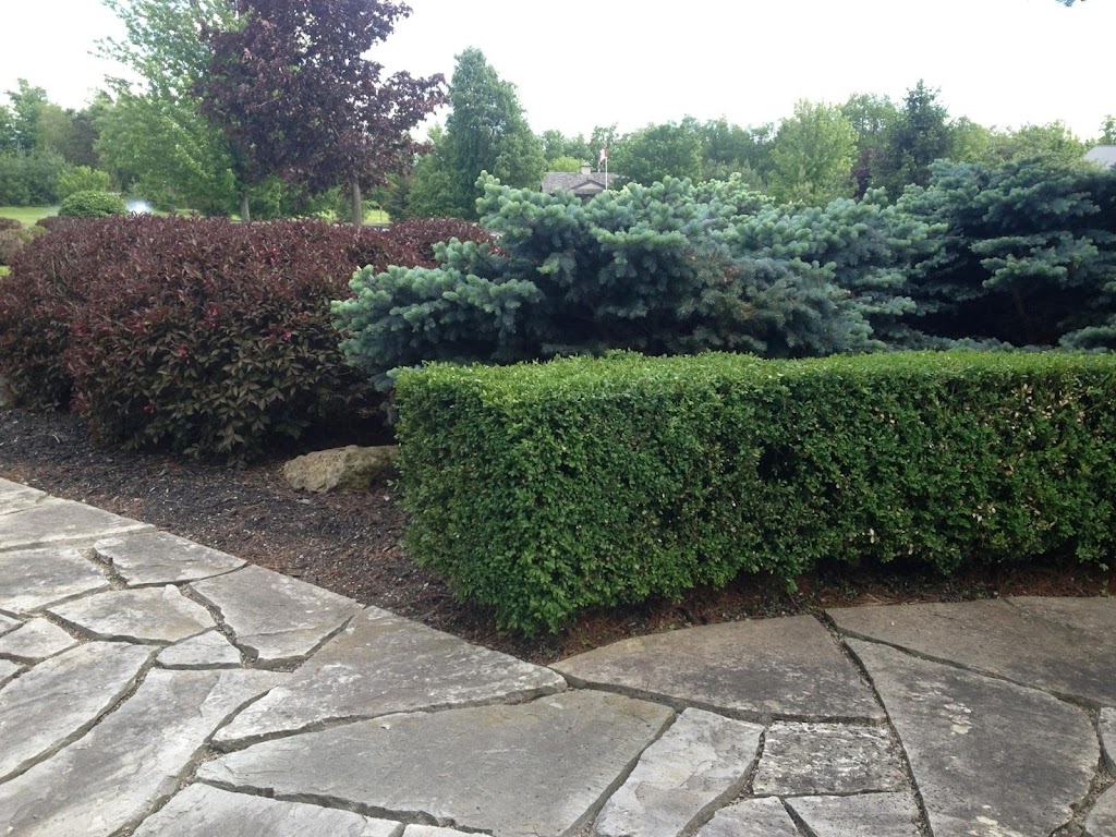Peter Hordyk Landscape | Milburough Town Line, Burlington, ON L7P 0C8, Canada | Phone: (905) 689-1667