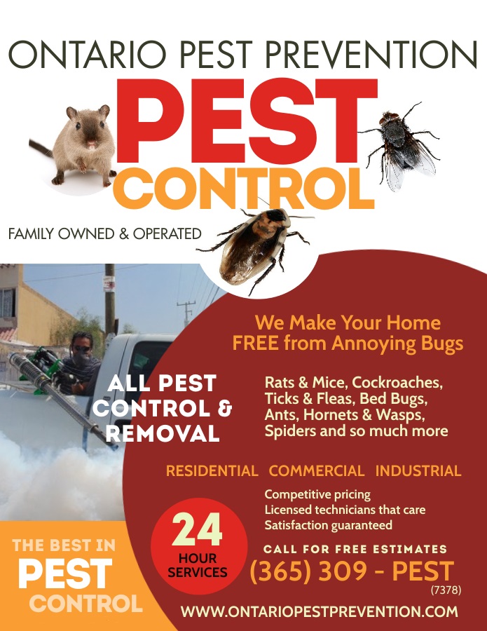 Ontario Pest Prevention | 5545 Blezard Dr, Beamsville, ON L0R 1B3, Canada | Phone: (365) 309-7378
