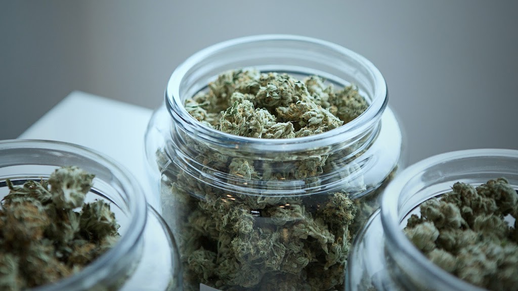 Mission Cannabis Dispensary Tunbridge | 8778 Cedar St Suite 101, Mission, BC V4S 1A3, Canada | Phone: (604) 287-0044