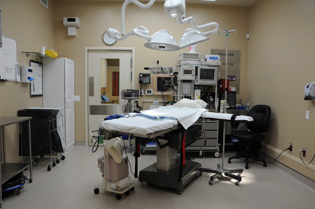 Royal Centre of Plastic Surgery | 22 Quarry Ridge Rd, Barrie, ON L4M 7G1, Canada | Phone: (705) 726-2800