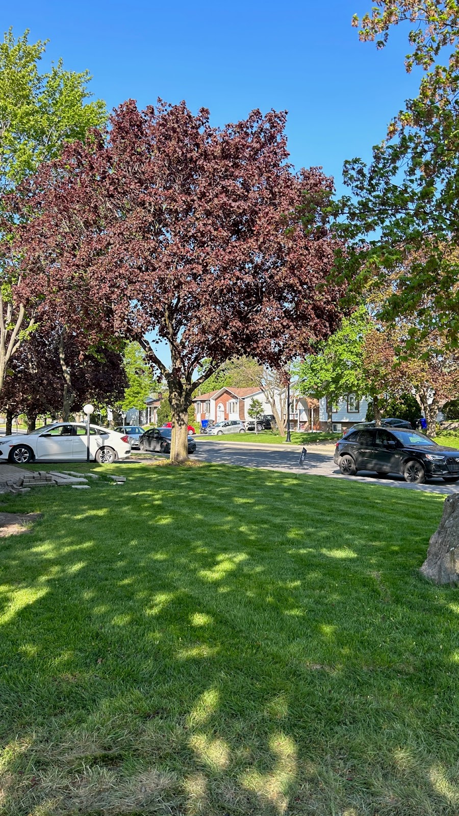 Le Gazon des Julievillois | 2687 Rue de Villandry, Sainte-Julie, QC J3E 2R1, Canada | Phone: (438) 394-7430