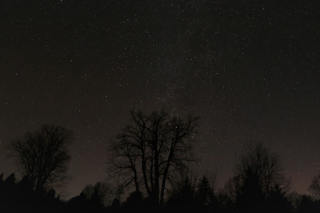 Wolfstone Acres | 6367 County Rd 121, Minden, ON K0M 2K0, Canada | Phone: (905) 410-4321