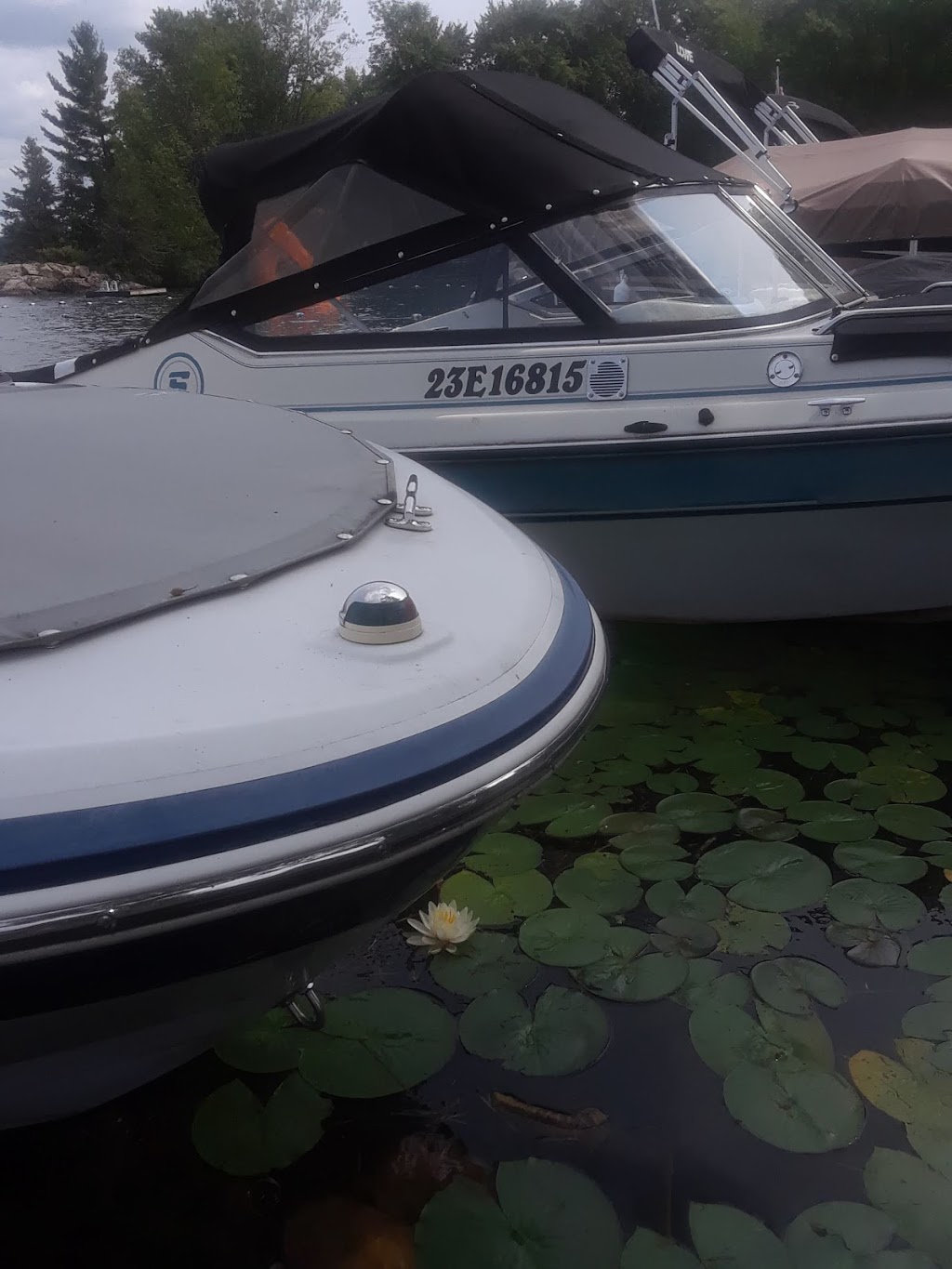 Islandview Trailer Park | Beaver Point Rd, Coboconk, ON K0M 1K0, Canada | Phone: (705) 454-3422