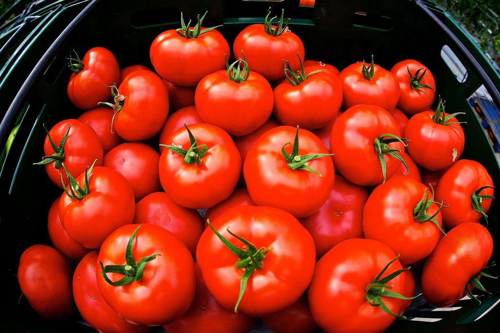 Gull Valley Greenhouses | 40120 Range Rd 283, Alberta T4M 0X7, Canada | Phone: (403) 885-2242