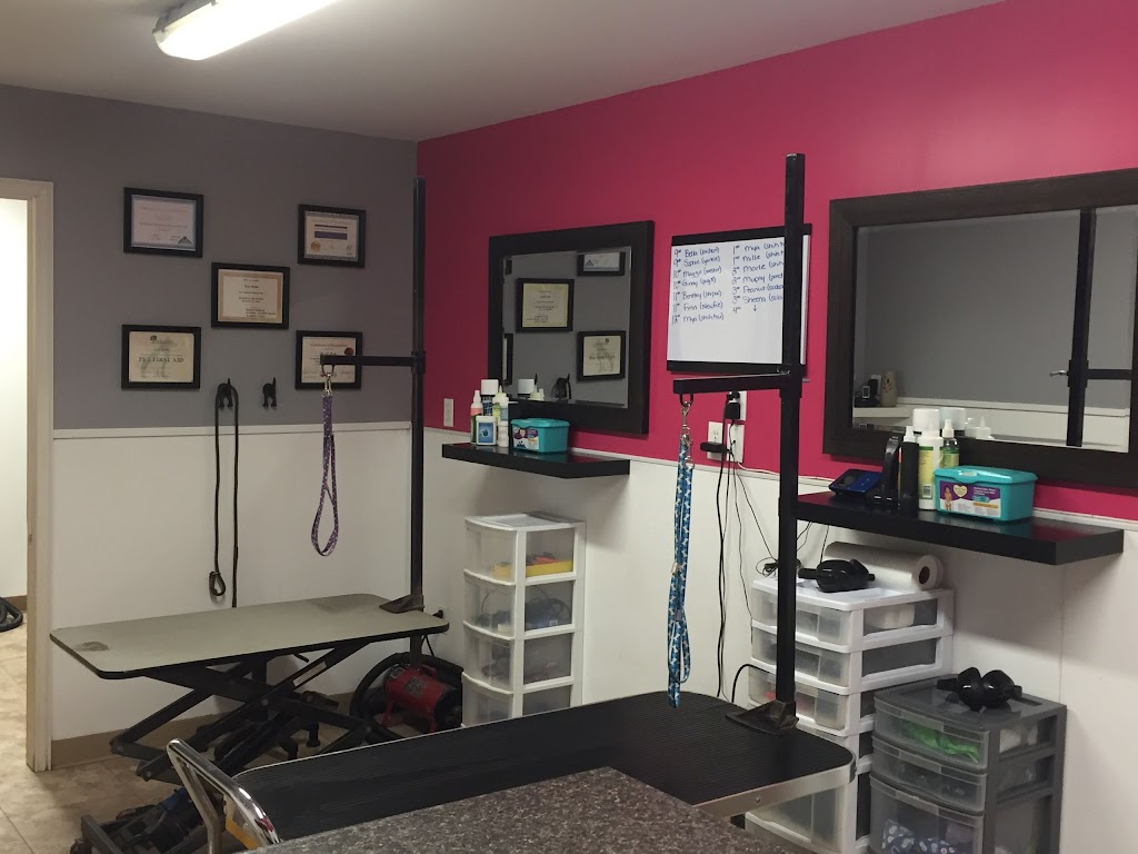 Ruff Cuts Pet Grooming by Lisa - Listowel | 5987 David St, Listowel, ON N4W 0C5, Canada | Phone: (519) 418-3647