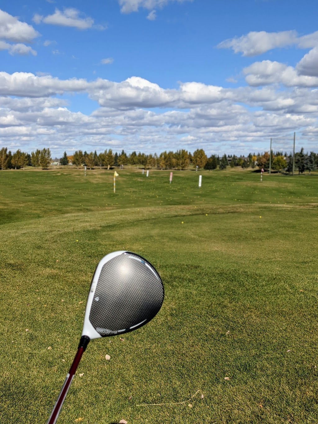 Lewis Estates Golf Course | 260 Suder Greens Dr NW, Edmonton, AB T5T 4B7, Canada | Phone: (780) 489-4653
