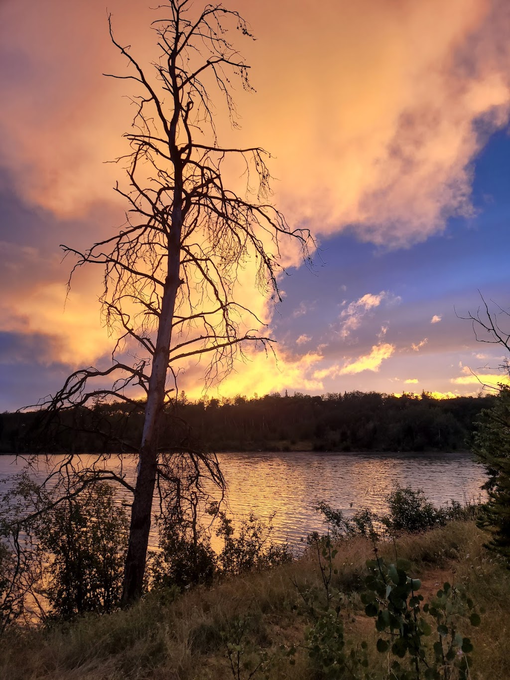 Emerald Bay Campground | 6229 N Green Lake Rd, Cariboo L, BC V0K 0A0, Canada | Phone: (250) 397-2523