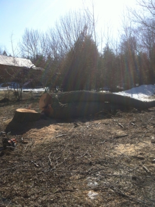 Huron Bay Tree Service | 79 Heather Lynn Blvd, Tara, ON N0H 2N0, Canada | Phone: (519) 934-3545