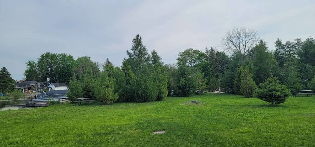 A&M Water Sports | 119 Riveredge Dr, Keswick, ON L4P 2P2, Canada | Phone: (647) 886-2000