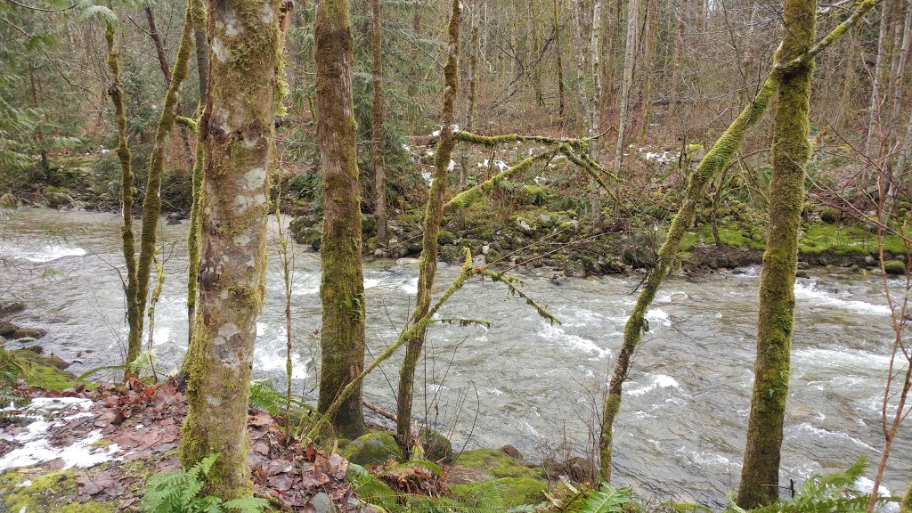 Coquitlam River Park | 1190 Shaughnessy St, Coquitlam, BC V3E, Canada