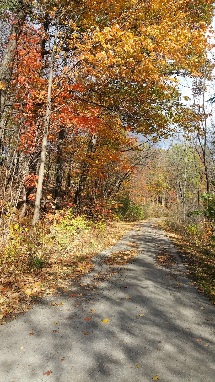 Derrydowns Park | 227 Derrydown Rd, North York, ON M3J 1S2, Canada | Phone: (416) 338-4386