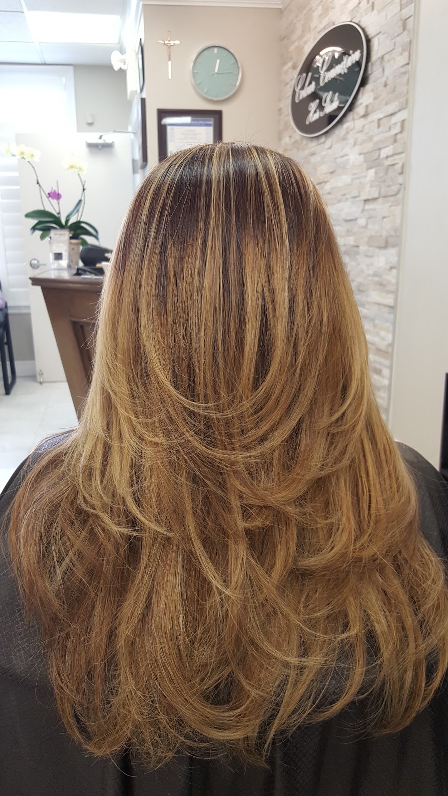 Colour Connexion Hair Studio | 2080 Pine St, Burlington, ON L7R 1G2, Canada | Phone: (905) 681-5456