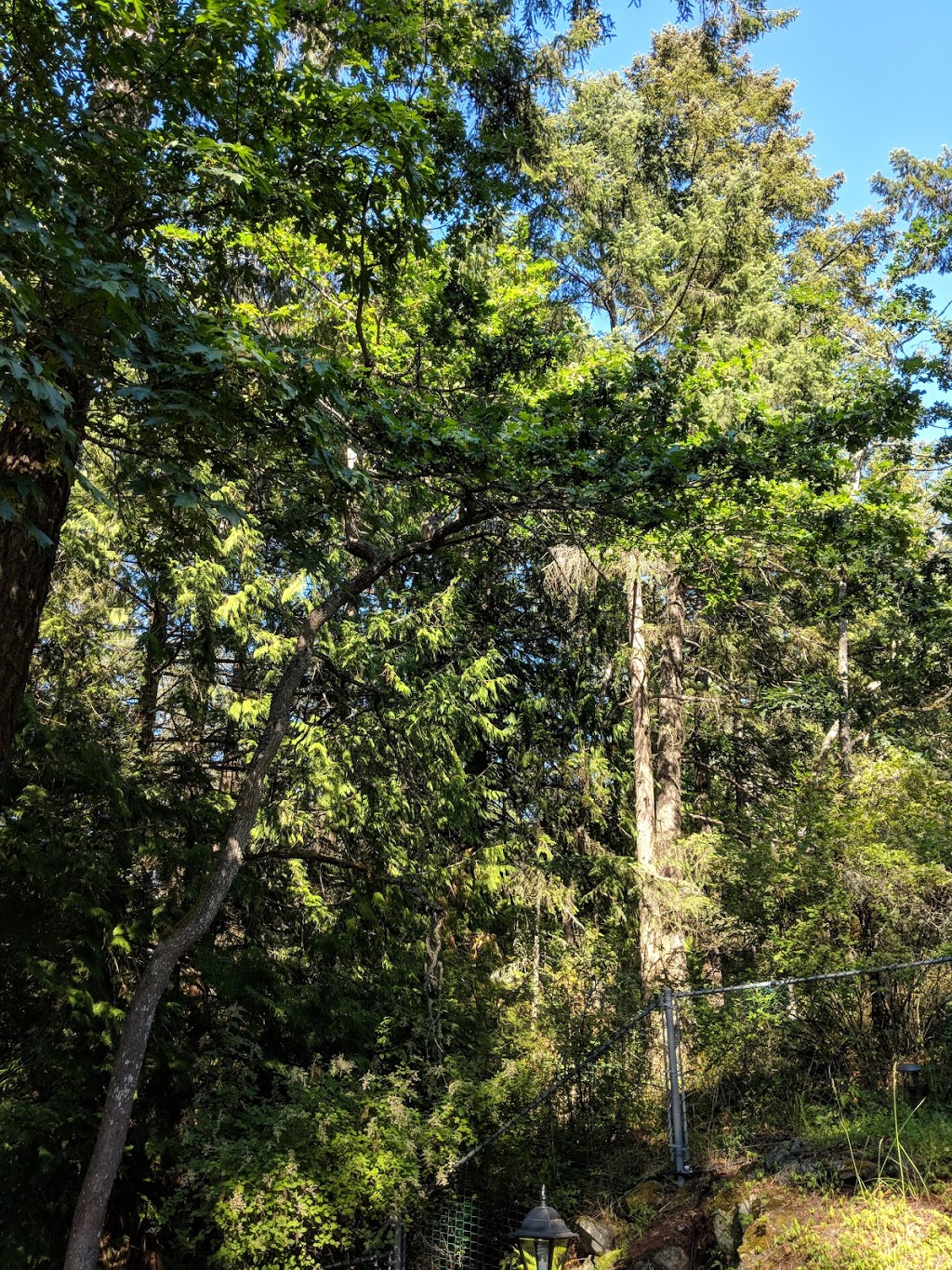 Gore Nature Park | 1018 Greig Ave, Brentwood Bay, BC V8M 1J6, Canada