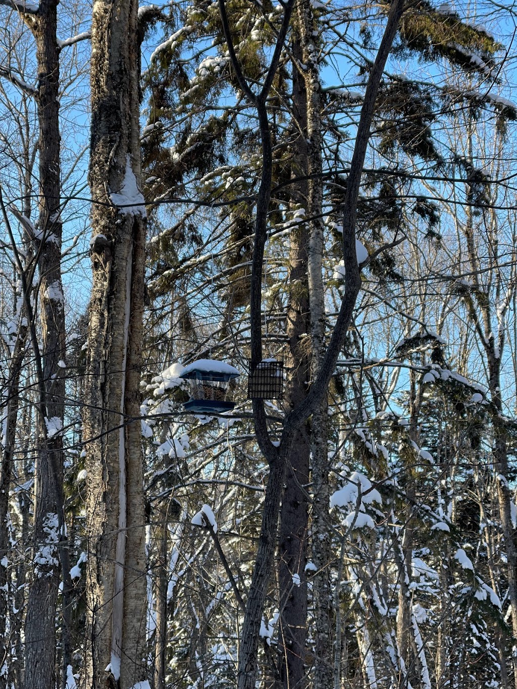Ski De Fond Charlesbourg | 375 Rue de lAventure, Québec, QC G2M 1N3, Canada | Phone: (418) 849-9054