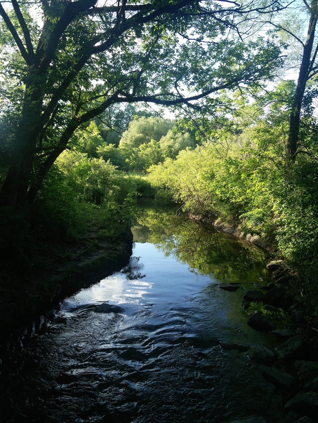 Driftwood Park | 44 Tobermory Dr, North York, ON M3N 2R7, Canada