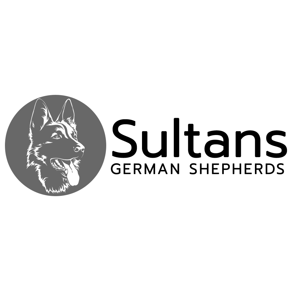 Sultan’s German Shepherds | 656 Tobacco Rd, Castleton, ON K0K 1M0, Canada | Phone: (416) 886-7015