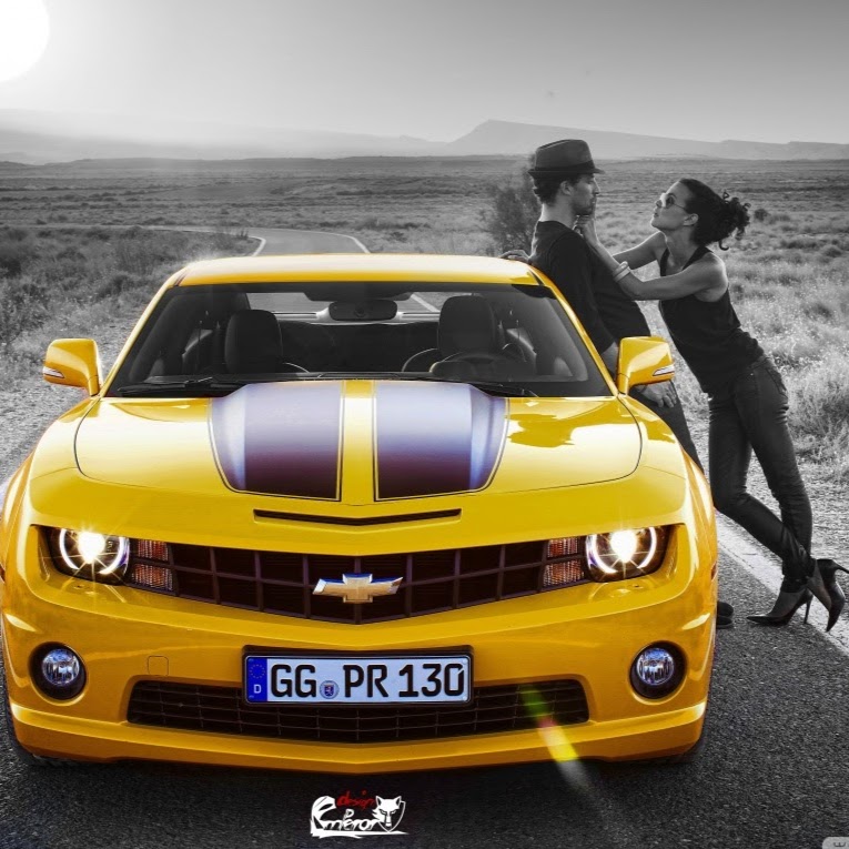 Vancouver Auto Liquidation South | 12827 King George Blvd, Surrey, BC V3T 2T1, Canada | Phone: (604) 374-6564