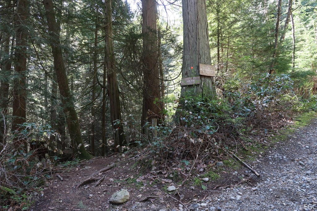 Mount Gardner Trail Head | 1301 Mt Gardner Rd, Bowen Island, BC V0N 1G2, Canada
