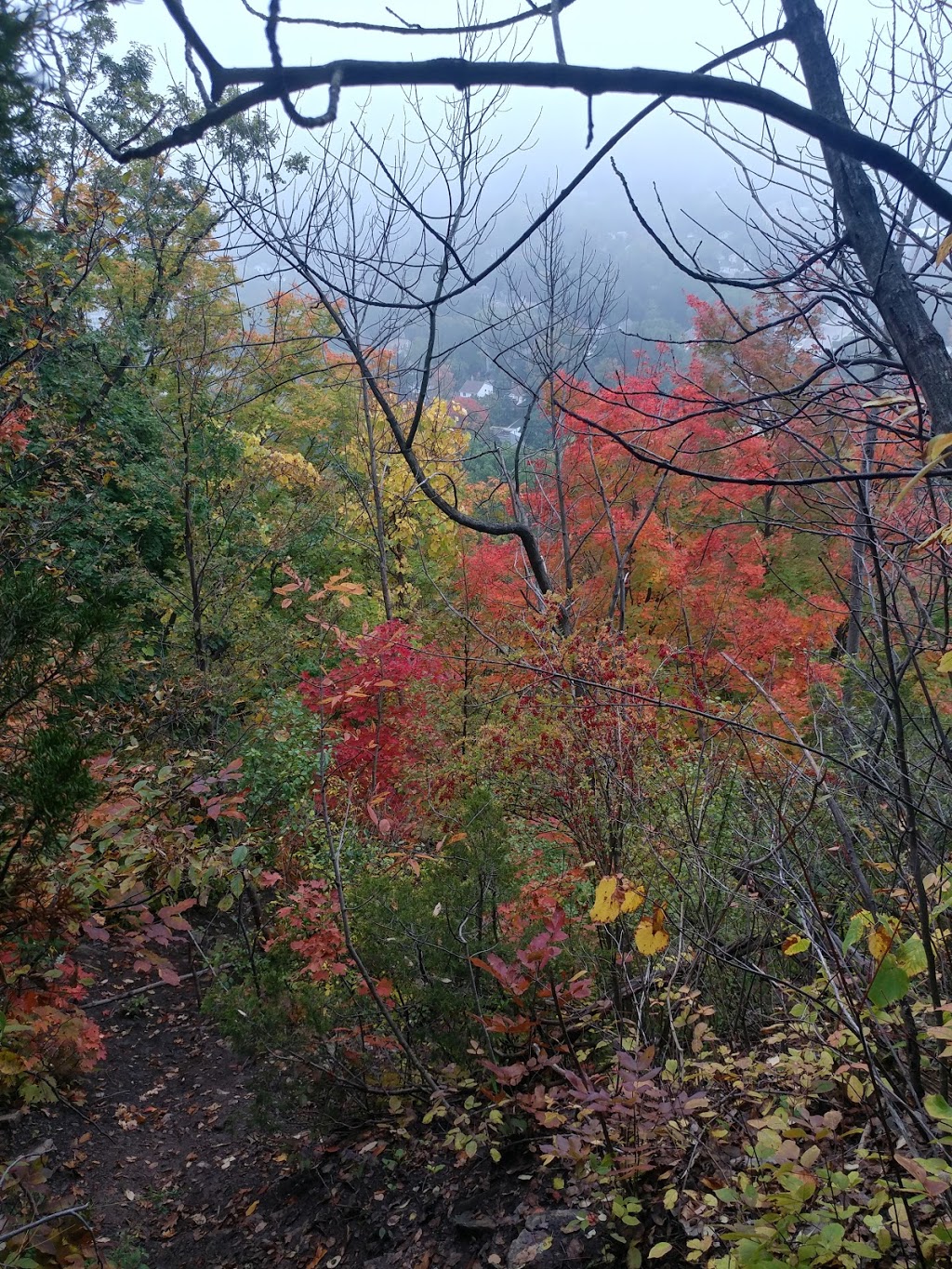 Webster Family Cemetery | 31 Fallsview Rd, Dundas, ON L9H 5J7, Canada