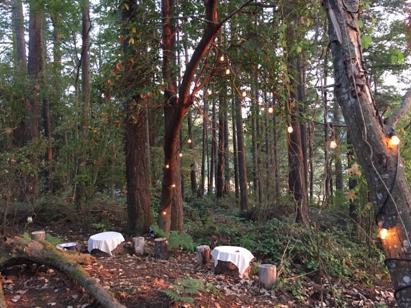 Fidalgo Nature School | 6300 Sunset Ave, Anacortes, WA 98221, USA | Phone: (425) 772-8425