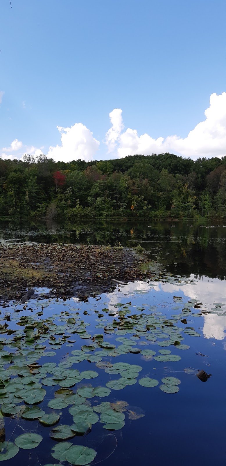 Shaftesbury Park | 85 Downing Crescent, London, ON N6C 3C7, Canada | Phone: (519) 661-5575