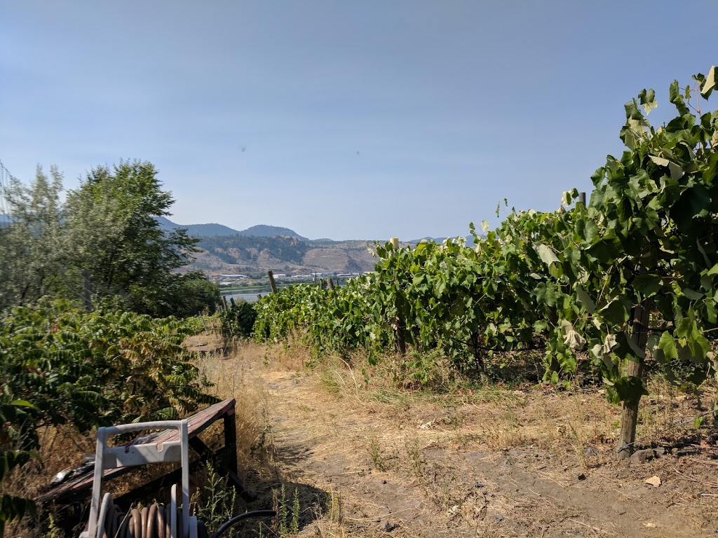 Sagewood Winery | 589 Meadow Lark Rd, Kamloops, BC V2H 1S9, Canada | Phone: (250) 573-1921