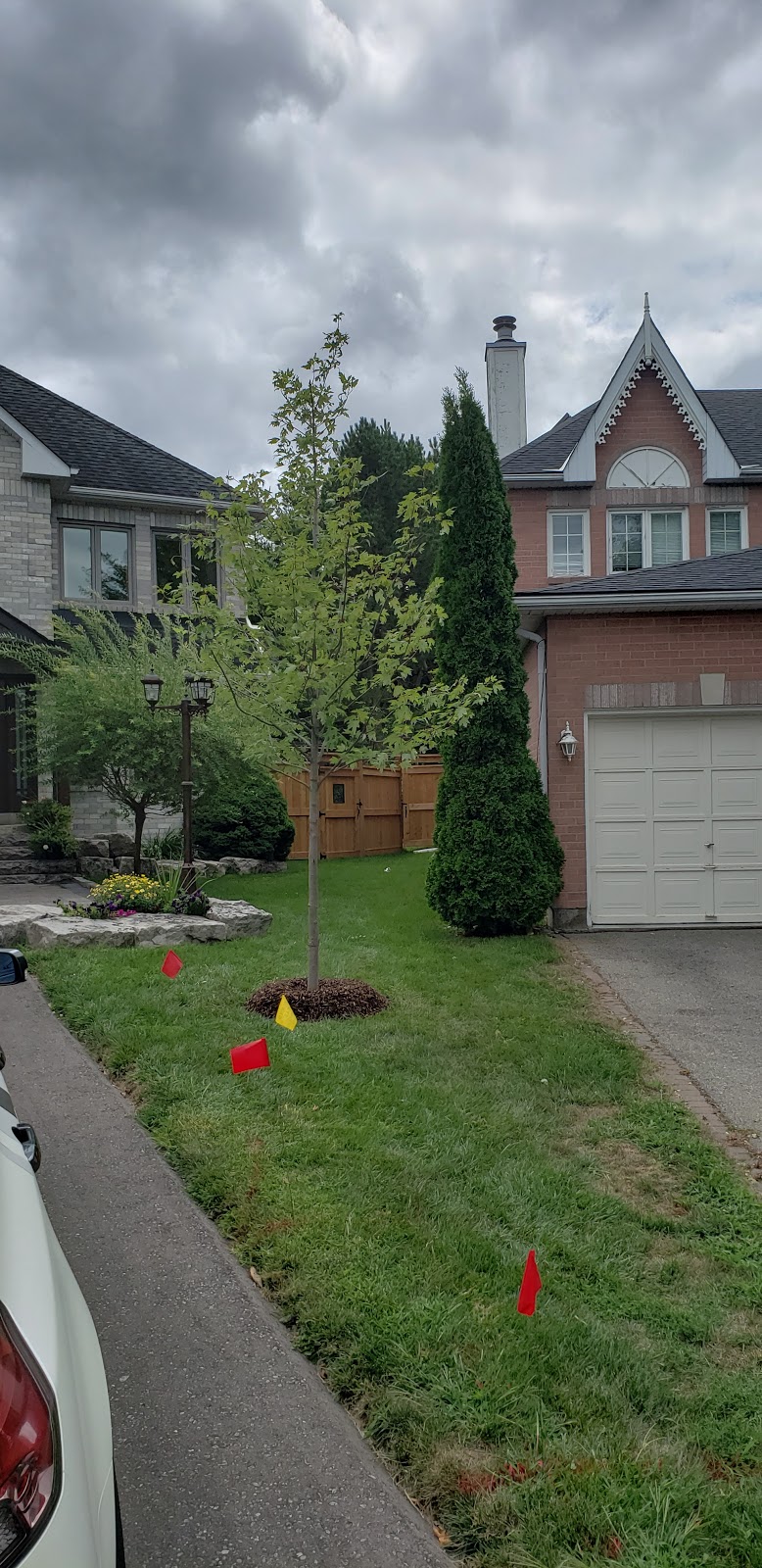 Dutchmaster Nurseries Ltd | 3735 Sideline 16 Rd, Brougham, ON L0H 1A0, Canada | Phone: (905) 683-8211