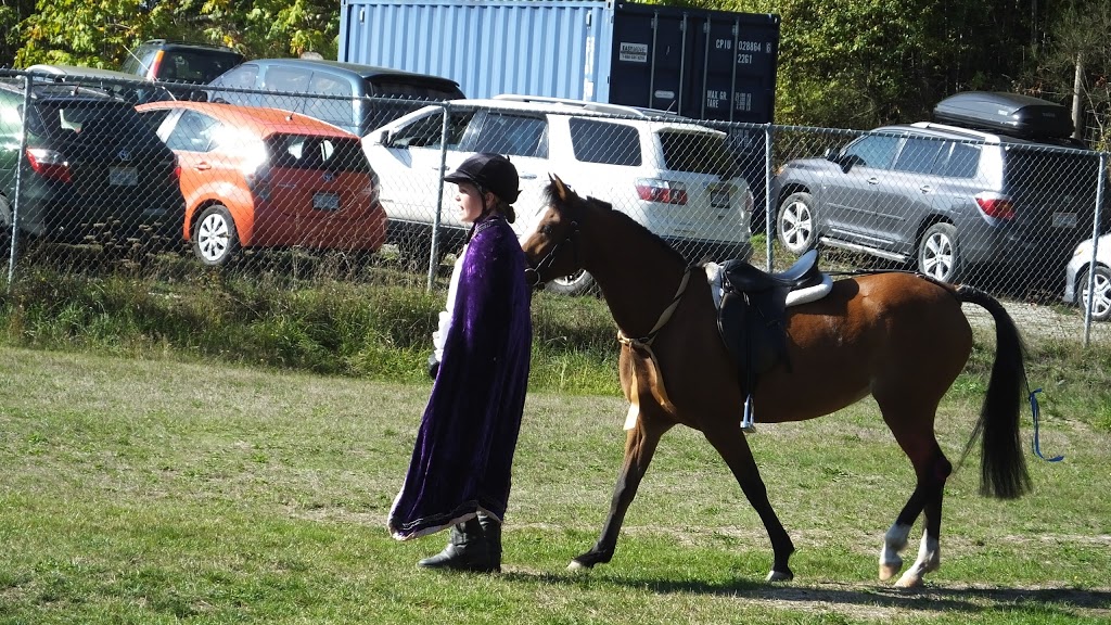 Sunrise Waldorf School | 2148 Lakeside Rd, Duncan, BC V9L 6M3, Canada | Phone: (250) 743-7253