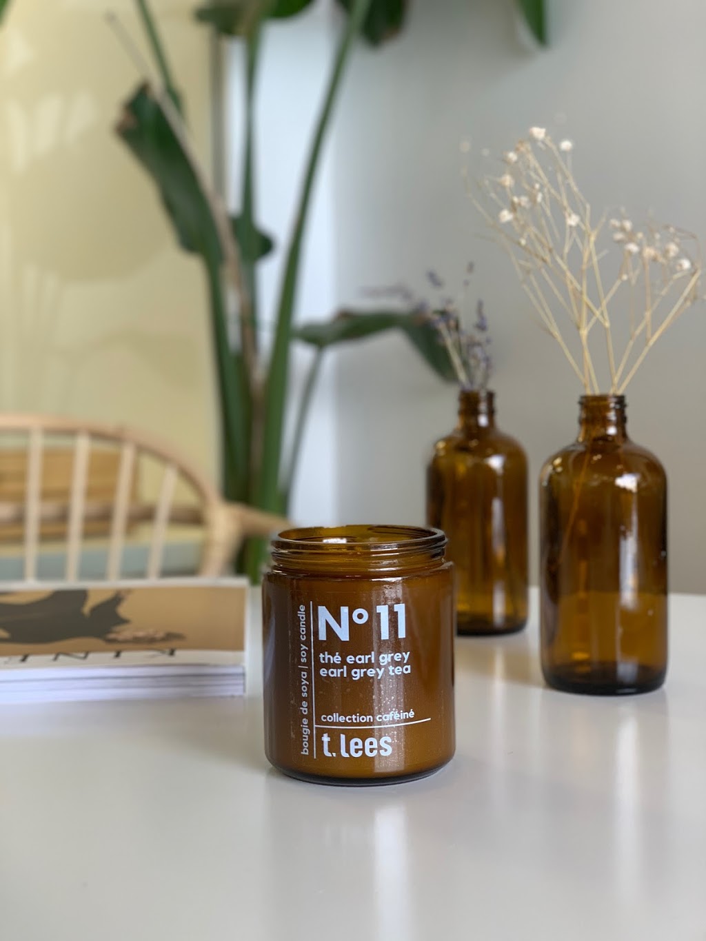 T. Lees | 3700 Rue Saint-Patrick suite 112, Montréal, QC H4E 1A2, Canada | Phone: (438) 383-5013