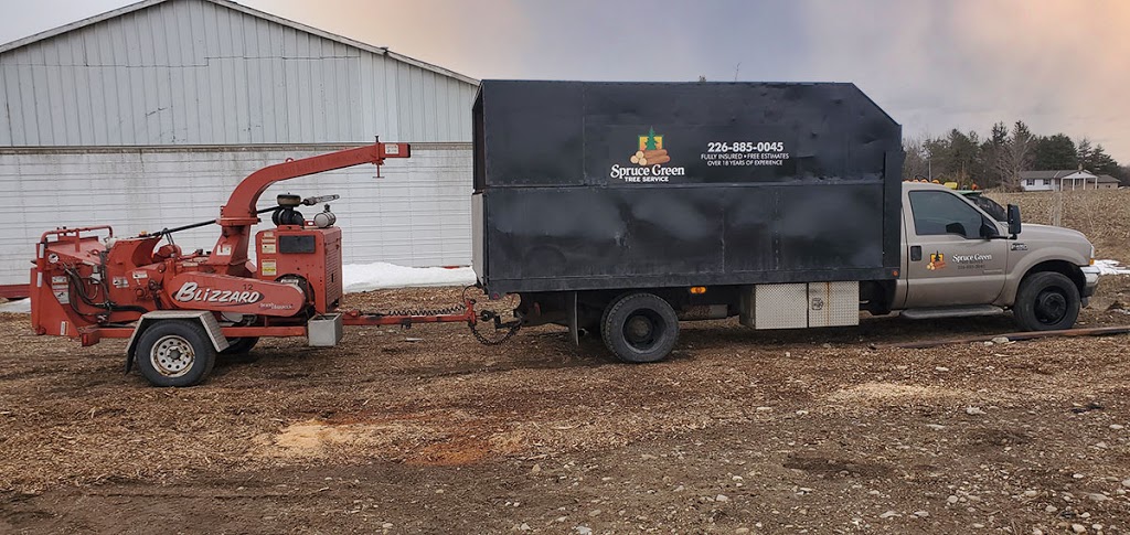 Spruce Green Tree Service | 5554 ON-23, Harriston, ON N0G 1Z0, Canada | Phone: (519) 638-0121