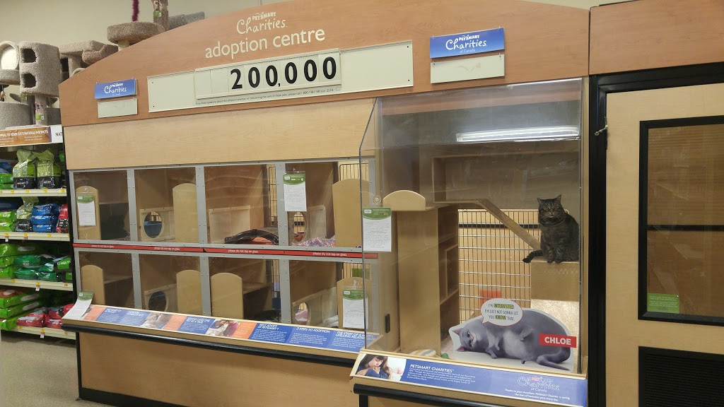 PetSmart | 225 High Tech Rd, Richmond Hill, ON L4B 0A6, Canada | Phone: (905) 764-6116