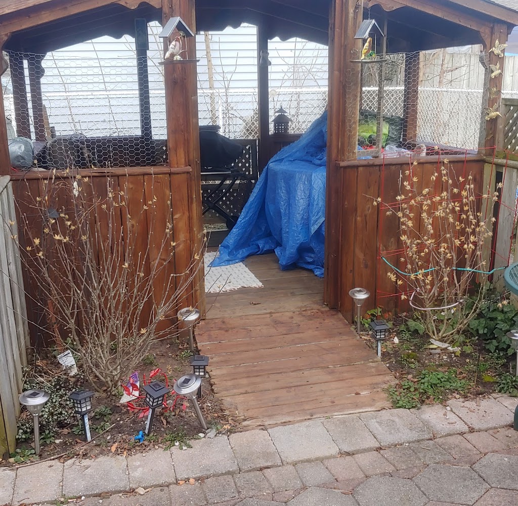 Cw landscaping | 231 Ardsley Crescent, London, ON N5W 5E2, Canada | Phone: (519) 719-5191