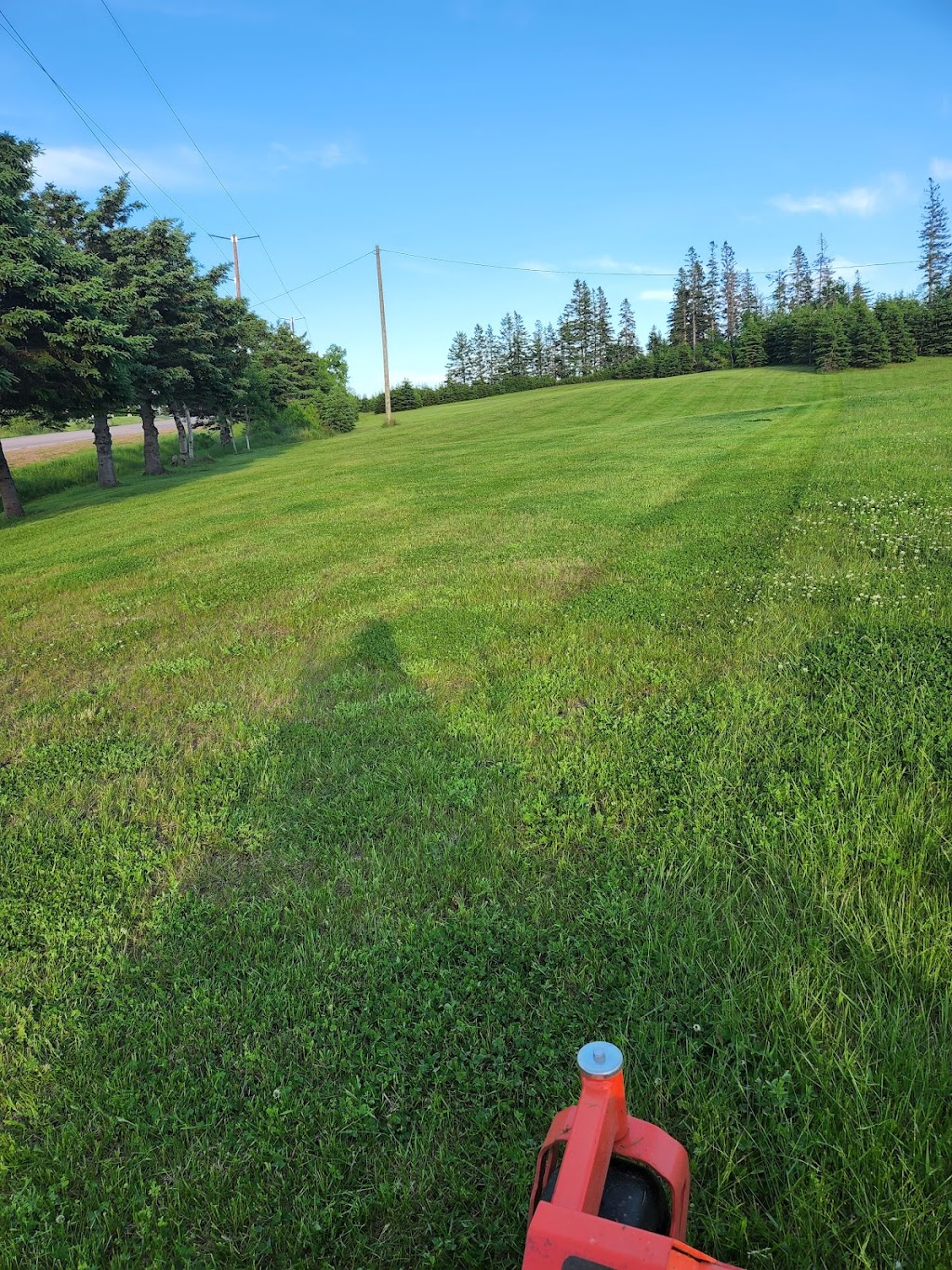 C&T Lawn Care | 7 Ash Ln, York, PE C0A 1P0, Canada | Phone: (902) 940-9335